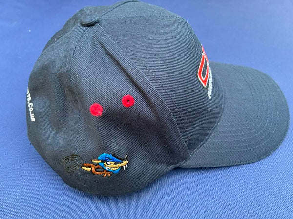 CRT 'Spinning Wolf' Paddock Cap image 0