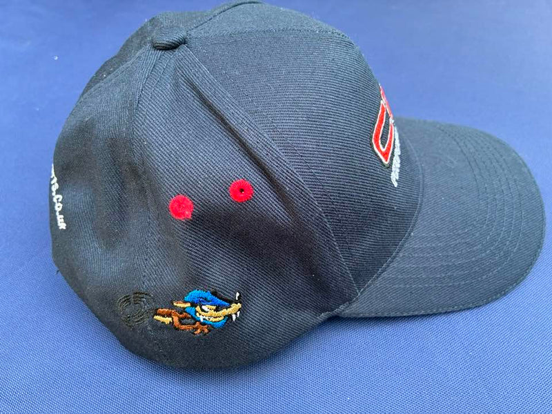 CRT 'Spinning Wolf' Paddock Cap image 0