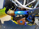 701 Carbon Heat Shield (Husqvarna 701 Tekmo Racing) image 4
